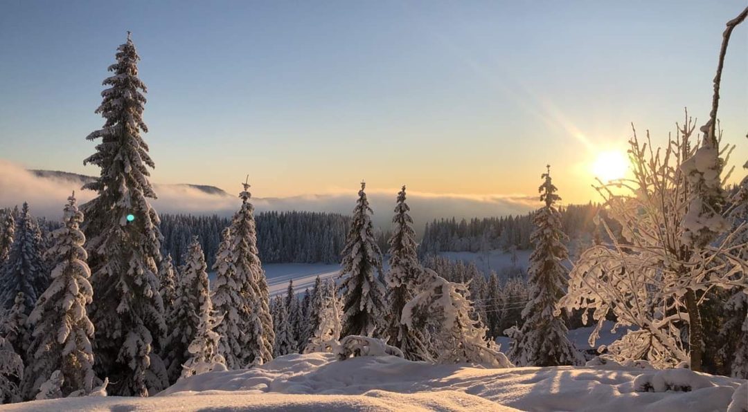 Vintermorgen over skogen ved Småtjern på Grua